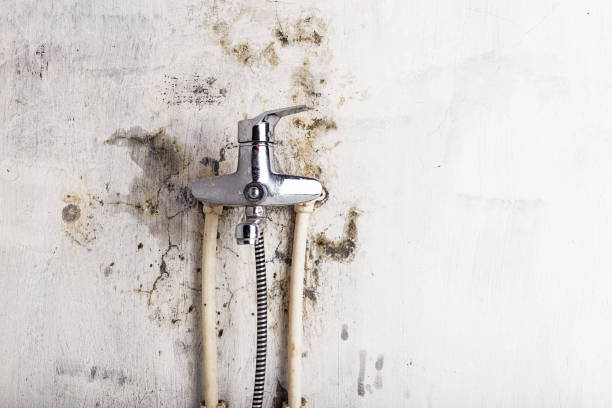 Best Commercial Mold Removal  in Oakridge, OR