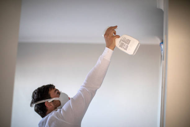 Office Mold Removal Services in Oakridge, OR