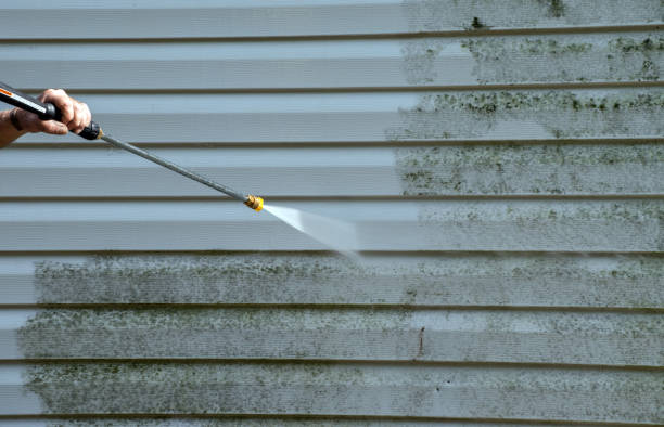 Best Professional Mold Removal  in Oakridge, OR