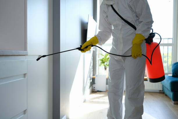 Reliable Oakridge, OR Mold Removal Solutions