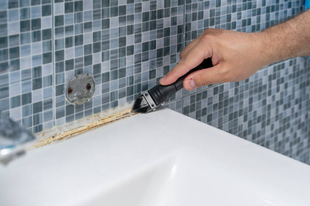 Best Crawl Space Mold Removal  in Oakridge, OR