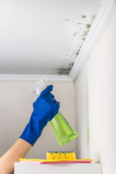Best Emergency Mold Removal  in Oakridge, OR
