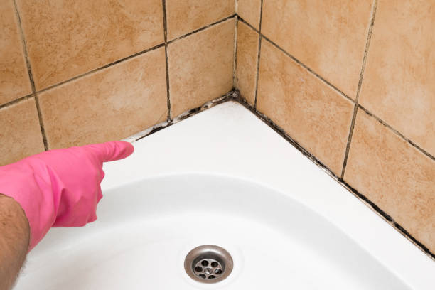 Best Commercial Mold Removal  in Oakridge, OR